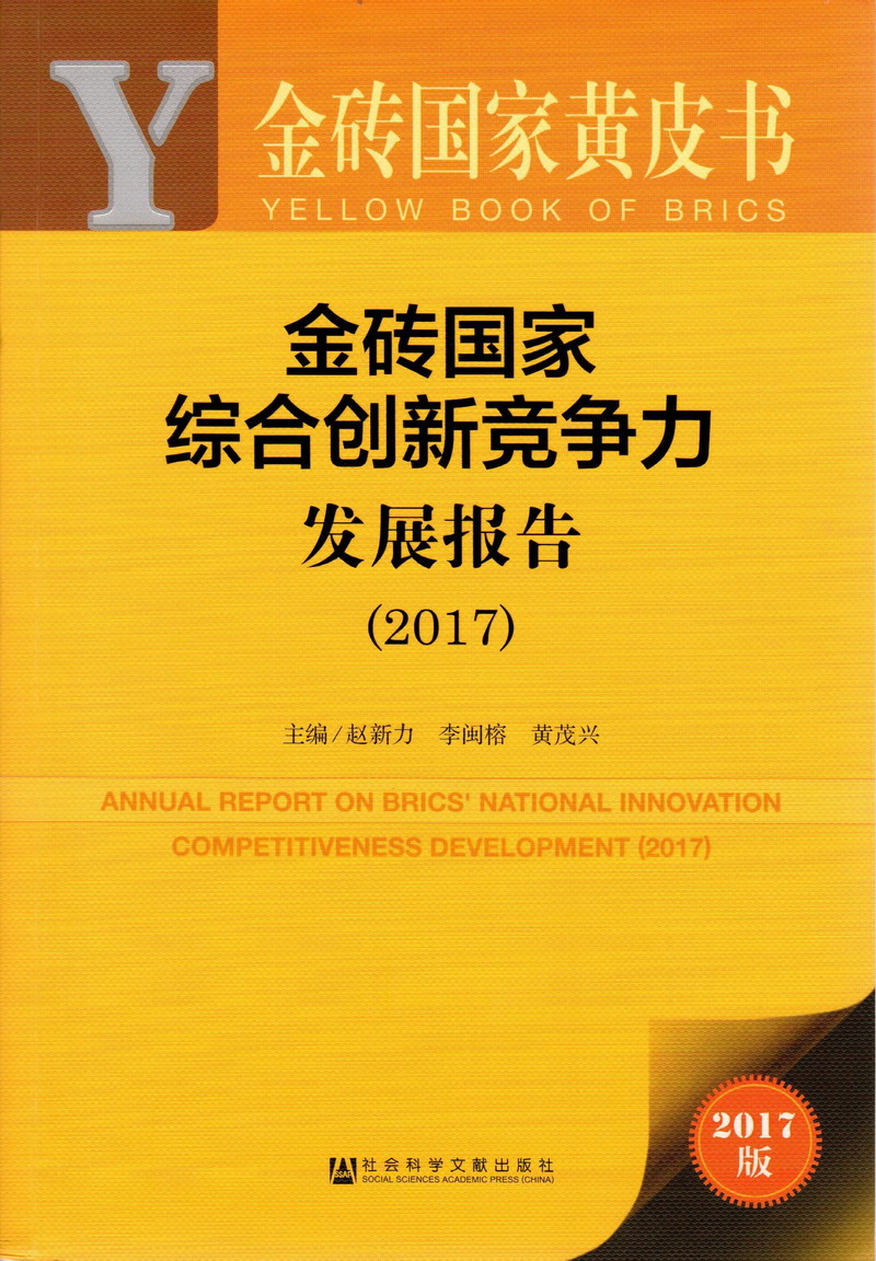 www.日逼视频金砖国家综合创新竞争力发展报告（2017）